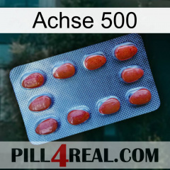 Axcil 500 06